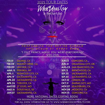 Rashaad Boyce-Carlton, Rashaad Carlton, Rashaadlive, Prince Rogers Nelson, Prince Tribute, Zak Edwards, One Evolution Entertainment, One Evolution Ent